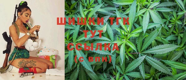 PSILOCYBIN Покров