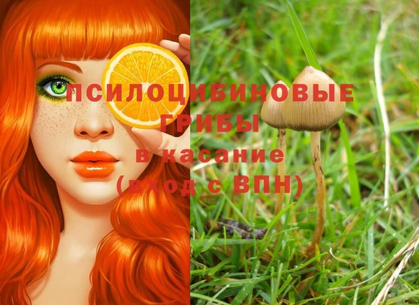 амф Покачи