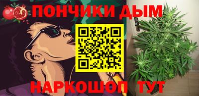 ешки Дубна
