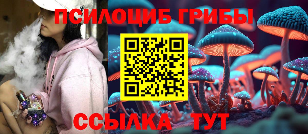 Галлюциногенные грибы GOLDEN TEACHER Сафоново