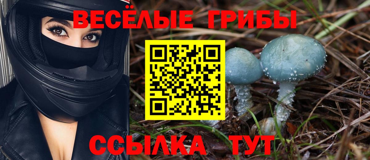 Псилоцибиновые грибы мицелий  Вход с VPN  Галлюциногенные грибы мицелий  Сафоново 