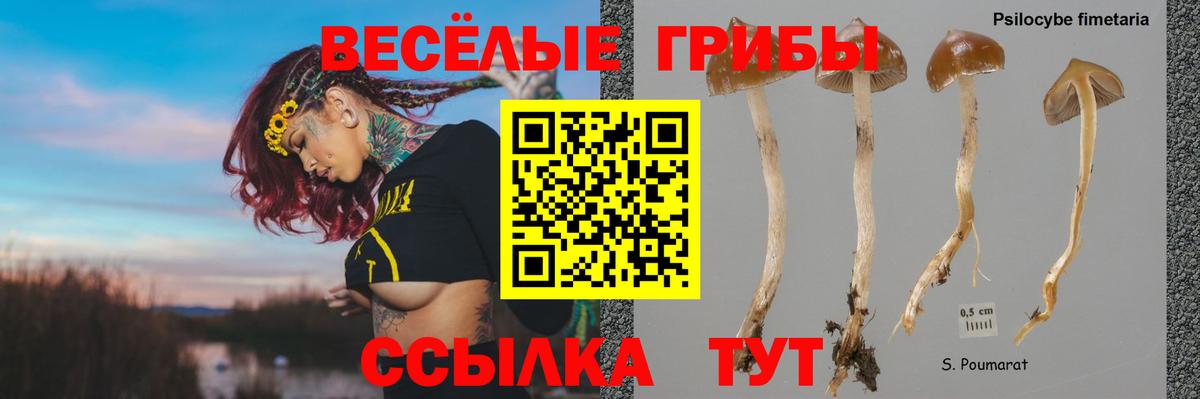 APVP Сафоново